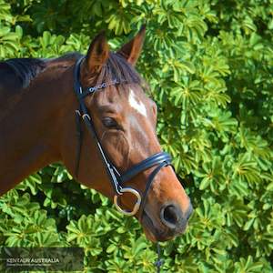 Kentaur 'Columbia' Hanoverian Bridle