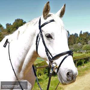 Kentaur 'Summerville' Hanoverian Bridle