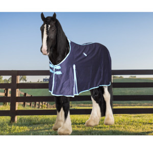 Cheap Horsewarehouse Rugs: Navy Show Rug