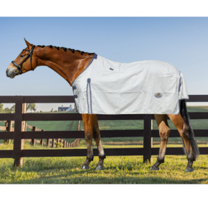 Cheap Horsewarehouse Rugs: Sunny Plus Rug