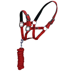 Christmas Gift Ideas Under 69: Shetland Horse Halter