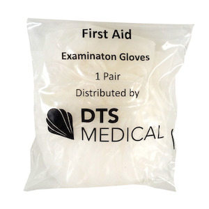 Examination Gloves in Printed bag (XL)