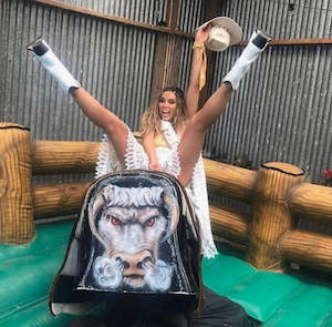 Mechanical Bull Ride