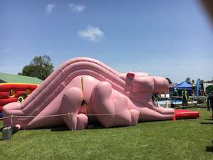 Function equipment renting, leasing or hiring: Pink Panther Slide