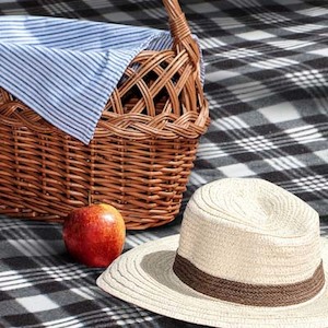 Trends Dakota Picnic Blanket