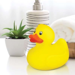 Business service: TRENDS Rubber Duck