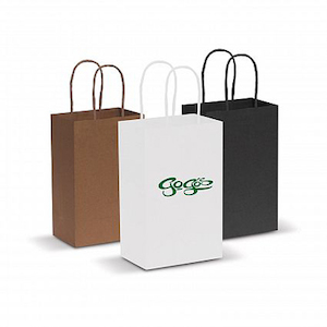 Trends Small Paper Carry Bag