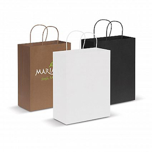 Trends Large Paper Carry Bag