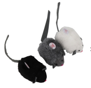 Pet food wholesaling: Squeaky Mouse