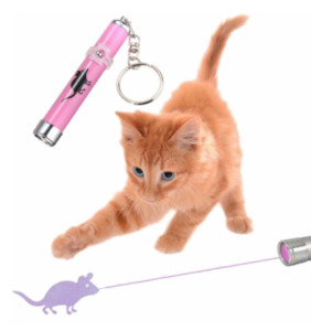 Pet food wholesaling: Mouse Pointer Toy