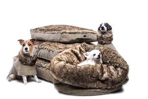 Pet food wholesaling: Tweed Beds