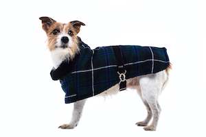 Pet food wholesaling: Terrier Tartan Coat