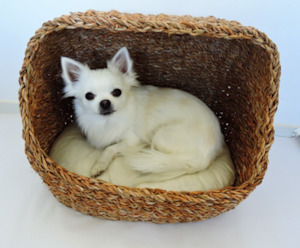 Pet food wholesaling: Seagrass Cave Bed for Dogs