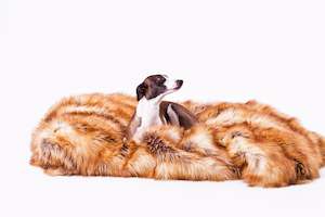 Pet food wholesaling: Luxury Faux Fur Throws For Dogs