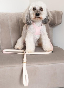 Pet food wholesaling: Luxe Harness