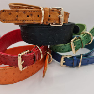 Little Softee Hound Collar