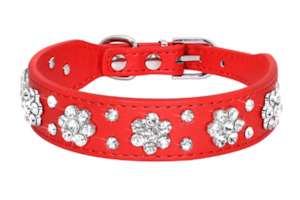 Pet food wholesaling: Daisy Bling Collar