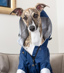 Paddington Raincoat