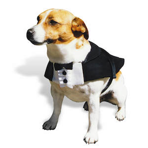 Pet food wholesaling: Tuxedo