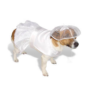 Pet food wholesaling: Wedding Dress