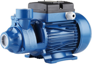 Pressure Pumps For Household Commercial Or Farm Applications: Peripheral Pump 0.55kW for Garden, Irrigation, Pressured Supply