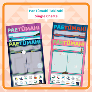 PaeTūmahi Takitahi (Single Organisation Charts)