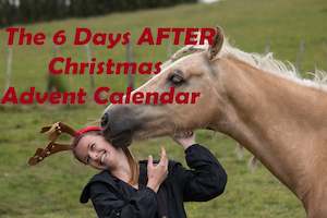 The 6 Days AFTER Christmas Advent Calendar - Rider's Version