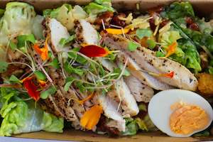 Punnet Catering: Protein Salads - Share Salad