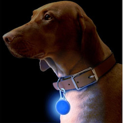 Silicone LED Flashing Night Light for Dogs Puptrek