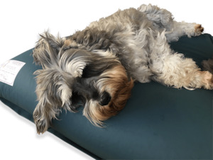 SupportApet PureGuard Wipeable Buckwheat Husk Pet Bed