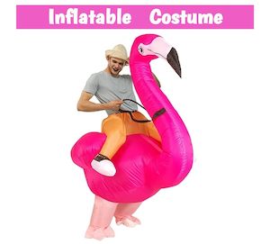 Inflatable Flamingo Costume*PINK