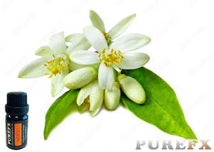 Neroli Essential Oil