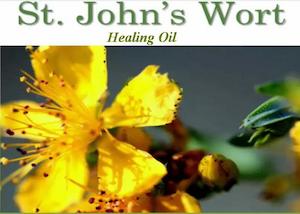 St Johns Wort infused Oil ( Hypericum )