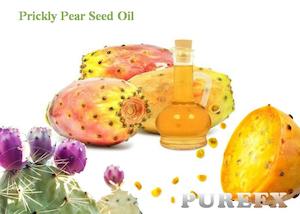 Prickly Pear Seed Oil / 100% Pure