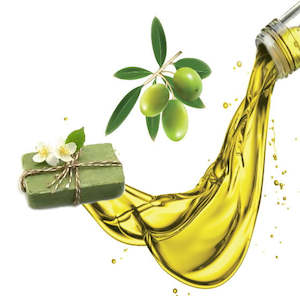 Olive oil / Pomace