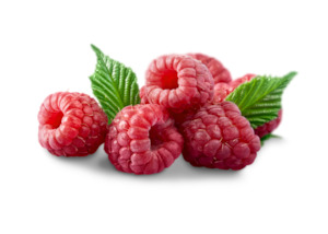 Carrier Oils 1: Raspberry Seed Oil - Organic Unrefined