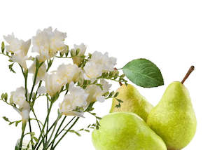 Floral Fragrances: English Pear & Freesia - Fragrance Oil