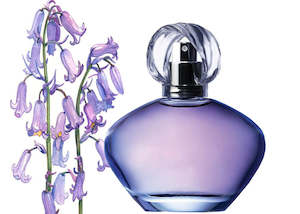 Floral Fragrances: Wild Bluebell's ( Type ) Fragrance Oil