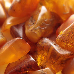 Perfume wholesaling: Egyptian Amber