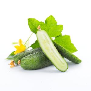 Cucumber Hydrosol