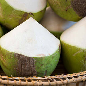 Perfume wholesaling: Bamboo & Coconut Fragrance