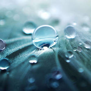 Rain Water Fragrance