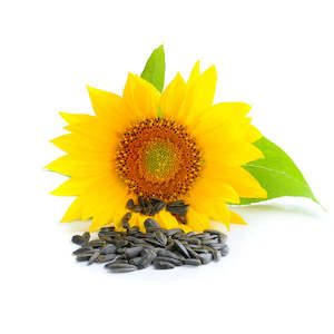 Sunflower Oil, Organic