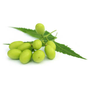 Neem Oil