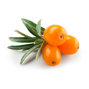 Sea Buckthorn Fruit Oil