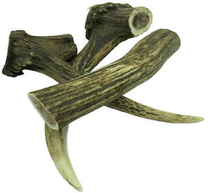 Deer Antler - Large