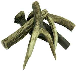 Deer Antler - Medium