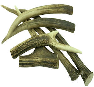 Deer Antler - Small