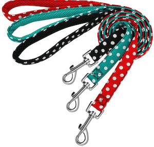 Polka Dot Dog Lead