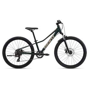 Bikes: Giant 2025 Talon 24 Disc Kids Mountain Bike